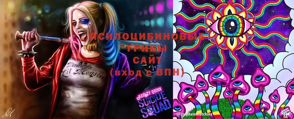 тгк Белокуриха