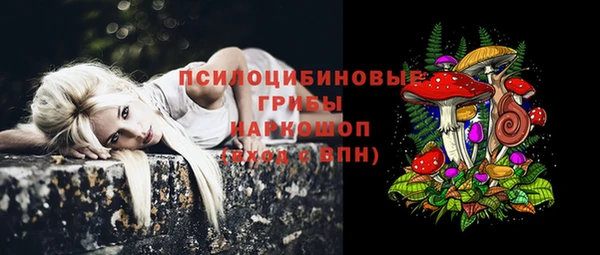 тгк Белокуриха