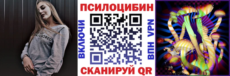 Псилоцибиновые грибы мицелий OMG как войти Светлый